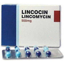 Lincocin 500 mg comprimés